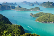 龍女轉(zhuǎn)世有什么特點(diǎn) 轉(zhuǎn)世龍女命運(yùn)好不好