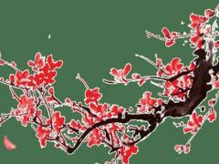 以字名字的寓意 有什么名字推薦