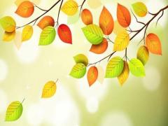 夢見在河邊跑步是什么意思