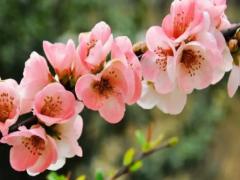 夢(mèng)見(jiàn)手指長(zhǎng)蛆是什么意思