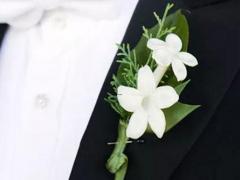 第六感神準的十二星座