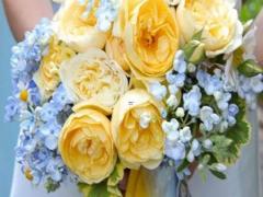 有這幾個星座女做女朋友 生活一定很幸福