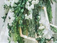 十二星座怎么畫簡筆畫