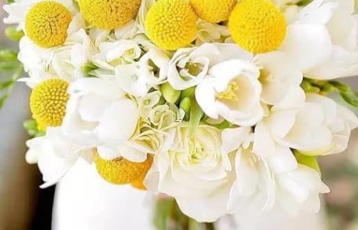 19378-.十二星座男悶騷指數(shù)