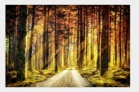 什么樣的八字旺父母?天干有喜用財星