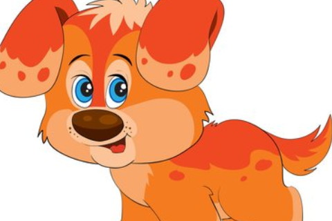 94年屬什么今年多大了2022年 94年屬什么今年多大什么命