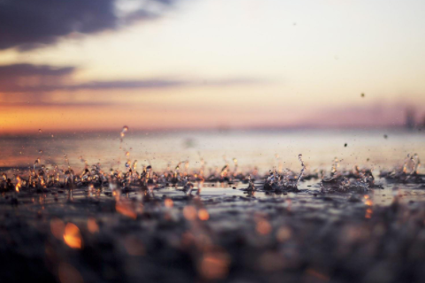 屬雞的命是一等命 屬雞的命里幾個兒子