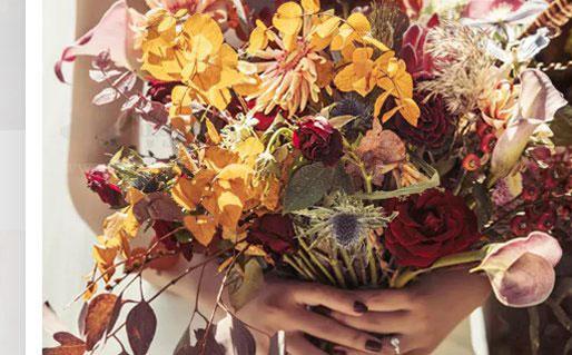 1404-.一個星座的護膚品 1404-.一個星座的護膚品