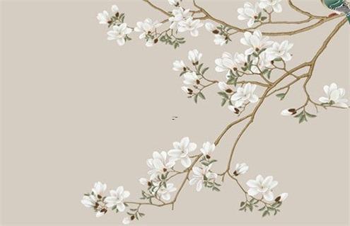 13357-.不運動會死星人 13357-.不運動會死星人