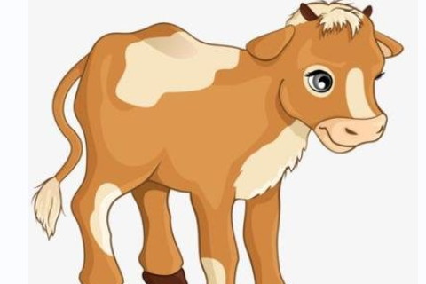 生肖牛喜歡一個人的表現:標準的行動派