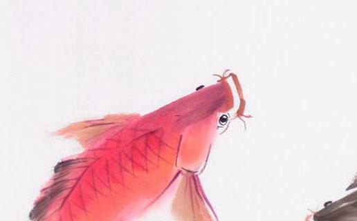 蔡字取名 蔡姓取名 蔡字取名 蔡姓取名