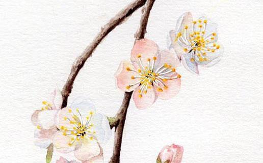 胖女孩起抖音名字