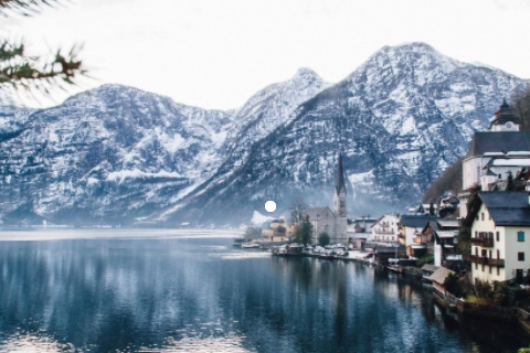 夢見好多兔子什么預兆 夢見好多兔子滿地跑