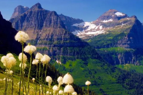 打牌手氣總不好的原因 隨身攜帶什么東西打牌運(yùn)氣好