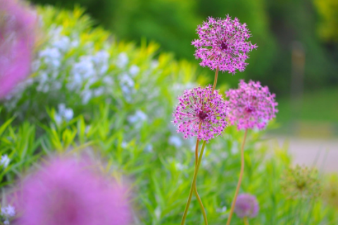 門口放鏡子有什么講究 家里哪個(gè)地方放鏡子最好