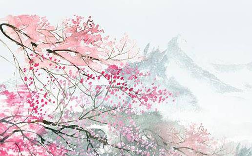 12435-.生肖虎取什么名字好