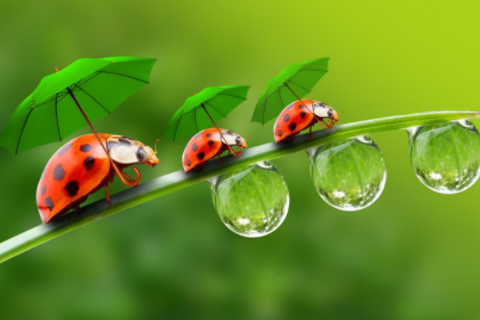 金牛座和雙魚座合適嗎 金牛座和雙魚座配嗎