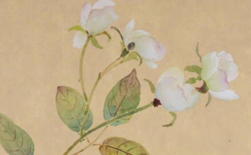 11051-.生辰八字缺土男孩取名 11051-.生辰八字缺土男孩取名