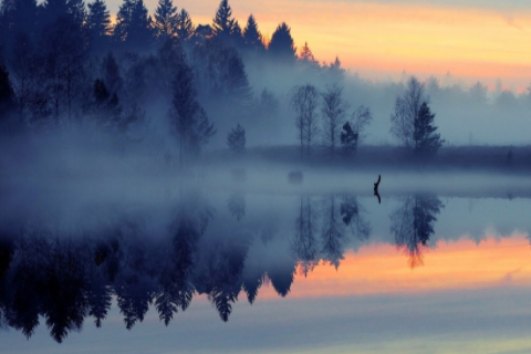 男生網名霸氣超拽高冷 帥氣個性的男生網名