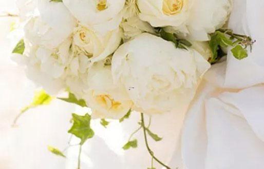 18660-.婚神星座查詢 18660-.婚神星座查詢