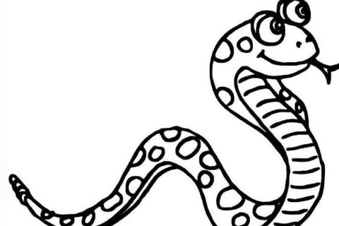 2023年屬蛇的整體運(yùn)勢(shì)?感情運(yùn)勢(shì)