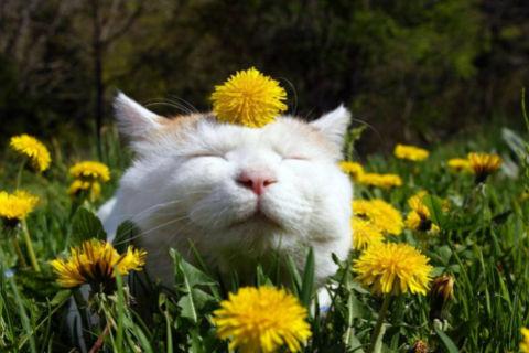 最準確的十二星座幸運數字 12個星座中誰最好