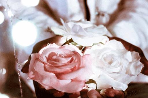 13694-.關(guān)于星座的小說有哪些特點