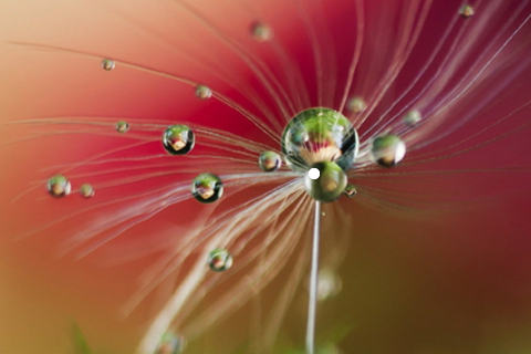 什么命要承受喪子之痛 什么人命里有兒有女