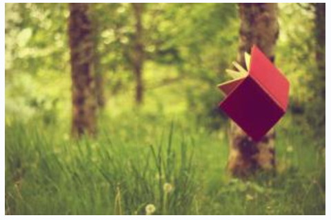 戌時有什么說法?長得清秀俊美