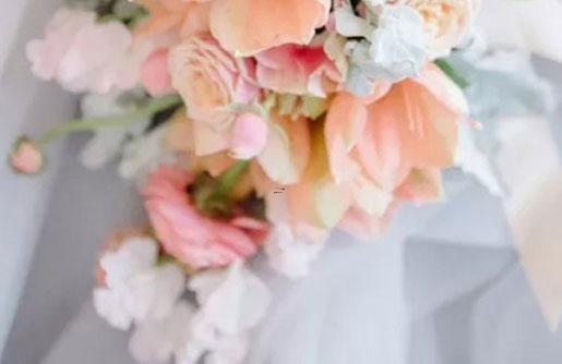 18681-.哪個星座是最愛讀書的 18681-.哪個星座是最愛讀書的