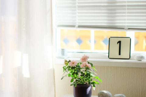 寓意重新開始的網名 讓心歸零的網名