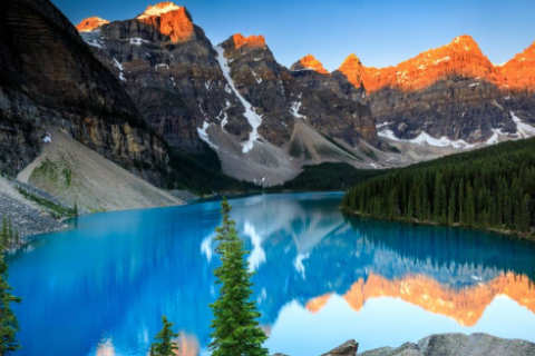 女羊男雞婚姻是否相配 雞與羊在一起好不好