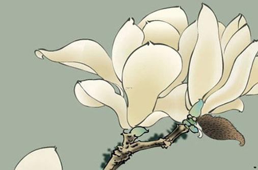 86虎雙魚2022運勢 86虎雙魚2022運勢