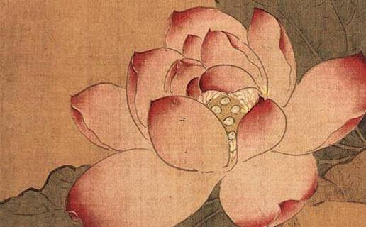 12632-.虎寶寶起名哪些部首宜 12632-.虎寶寶起名哪些部首宜