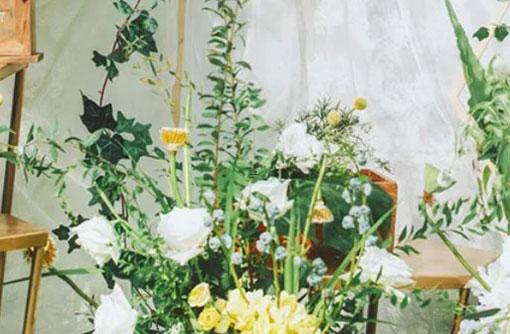 19339-.只因閑的蛋疼,才把強迫癥當借口的星座 19339-.只因閑的蛋疼,才把強迫癥當借口的星座