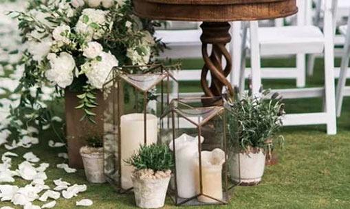 19109-.揭秘上升天蝎座性道德底線