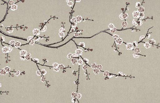 金牛虎女2022運勢 金牛虎女2022運勢