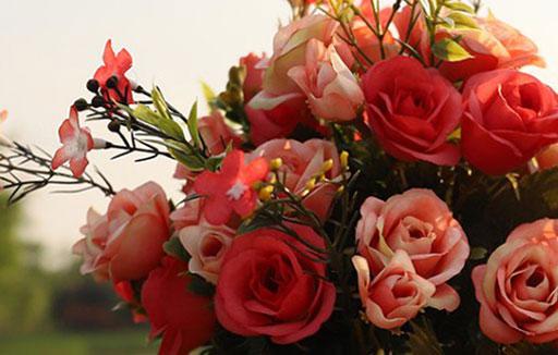 1922-.點(diǎn)子多的星座 1922-.點(diǎn)子多的星座