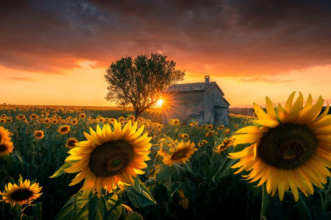 手上有痣代表什么 有對稱的痣會做夫妻嗎