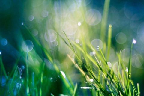 魁罡的女命如何 魁罡女命的上等婚姻