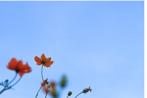 未時出生的女人是什么命?性格溫和