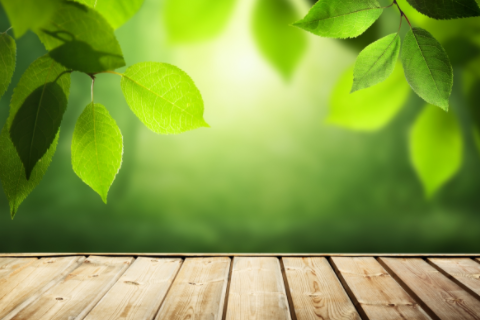 金牛座和雙魚座合適嗎 金牛座和雙魚座配嗎