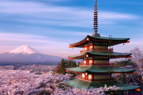 家里來貓好不好 貓主動上門意味著什么