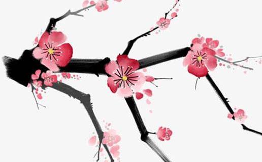 13686-.缺火缺土的虎寶寶名字