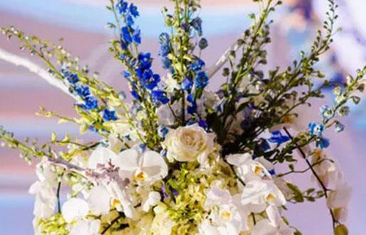 13668-.獅子座協調星座