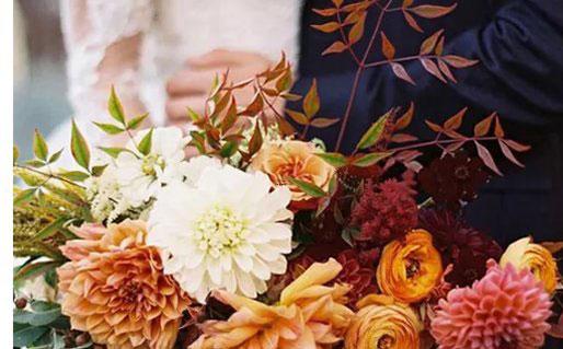 19690-.活見久 會當街耍賴皮的星座 19690-.活見久 會當街耍賴皮的星座