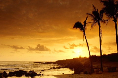 男猴女羊婚姻是否相配 猴和羊做夫妻好不好