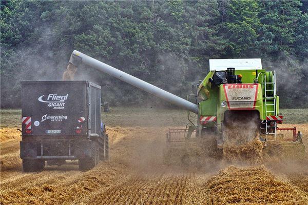 10602-.孕婦夢見青桃 10602-.孕婦夢見青桃
