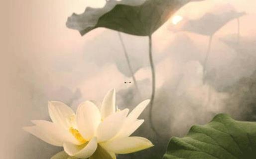 天蝎座2020女孩子名字寓意 天蝎座2020女孩子名字寓意