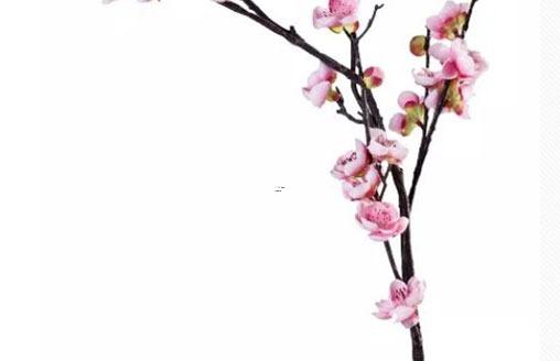 11182-.名字排行榜名單張棟 11182-.名字排行榜名單張棟